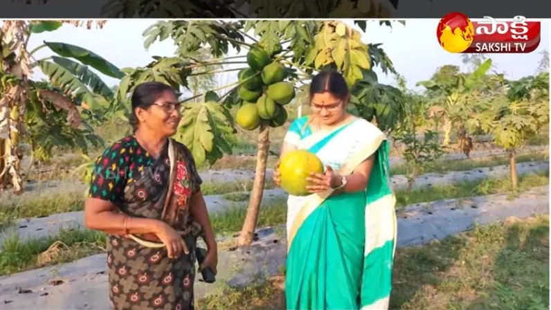 Retired Employee Anatha Lakshmi Natural Farming