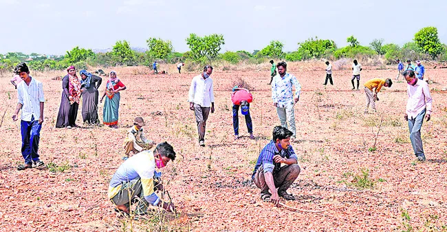 తుగ్గలి మండలం జొన్నగిరి సమీపంలోని పొలాల్లో వజ్రాల కోసం వెతుకులాట - Sakshi