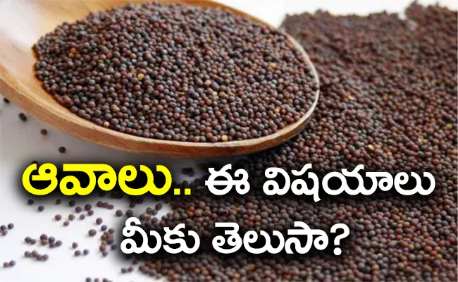 Health Benefits of Including Mustard Seeds in Your Diet - Sakshi