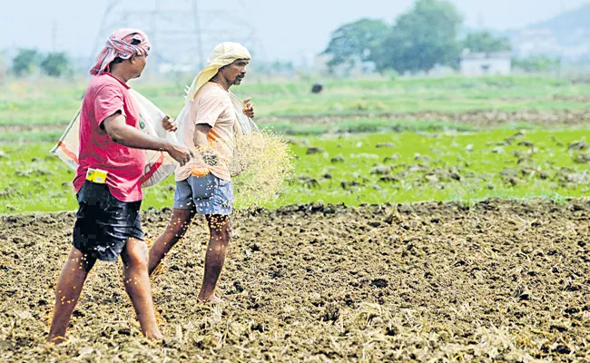 Andhra Pradesh Govt Focus On Rabi Crop cultivation - Sakshi