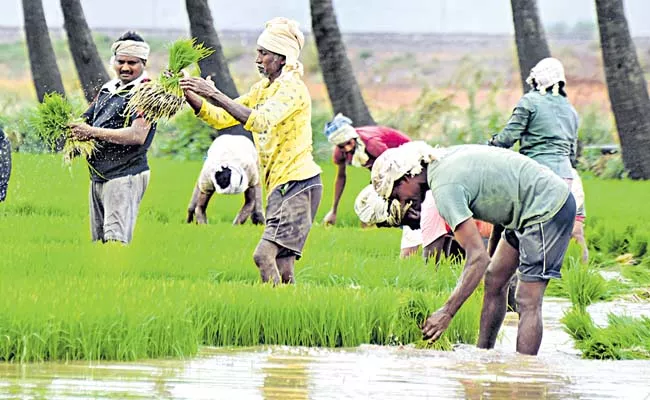 More Changes in YSR Free Crop Insurance Scheme - Sakshi