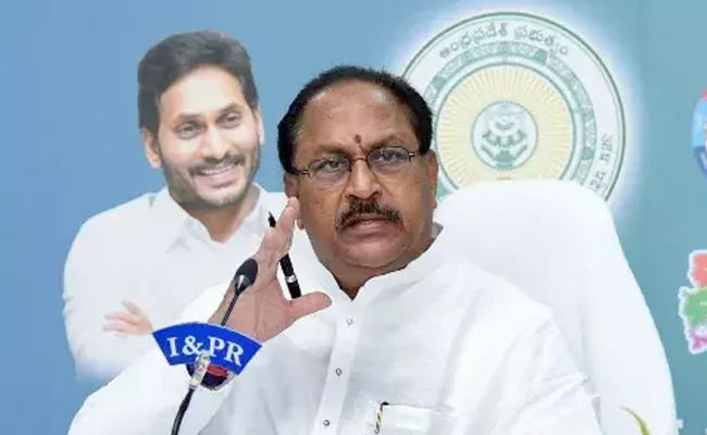 Ap Deputy Cm Kottu Satyanarayana Comments On Pawan Kalyan - Sakshi