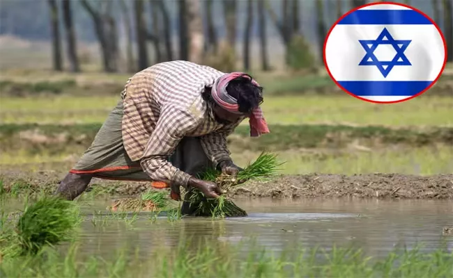 Why Indian Farmers go to Israel - Sakshi