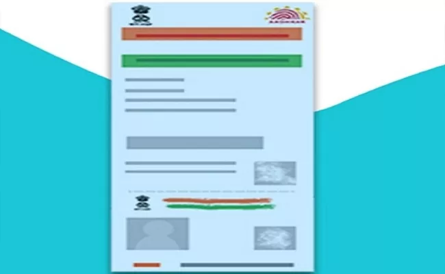  Know About Blue Aadhaar - Sakshi