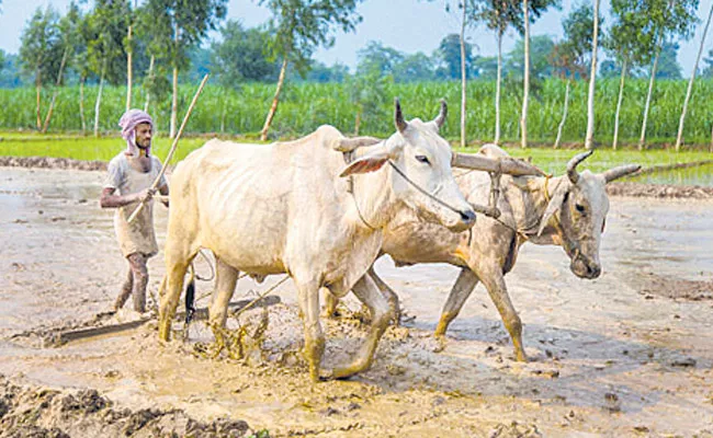 Yasangi Season Start In Telangana - Sakshi