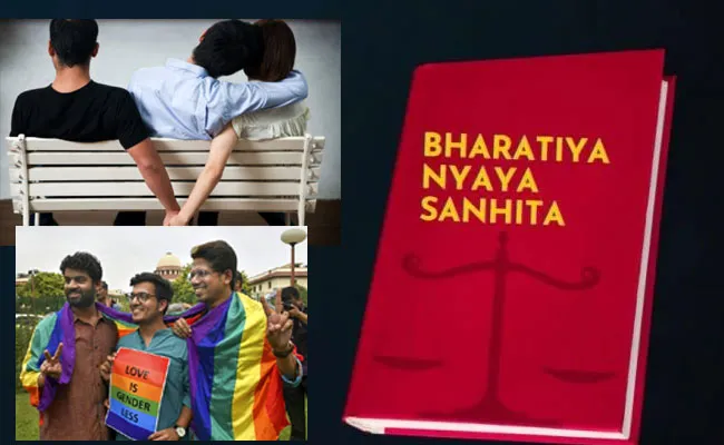 Parliamentary panel may recommend reinstating Section 377 497 - Sakshi