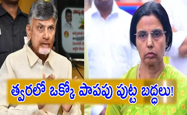 Nara Bhuvaneswari lying talks About Chandrababu Arrest - Sakshi