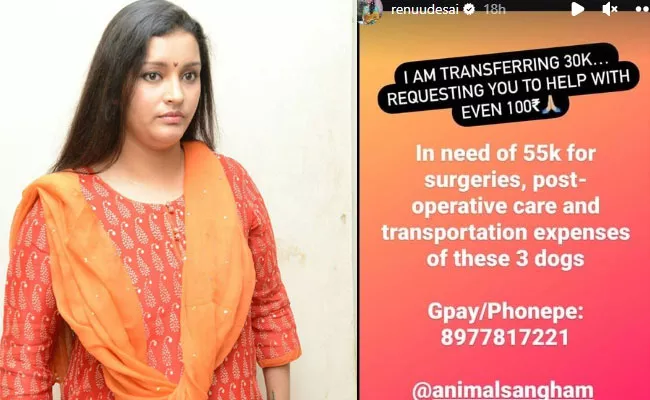 Renu Desai  Latest Instagram Post Goes Viral - Sakshi