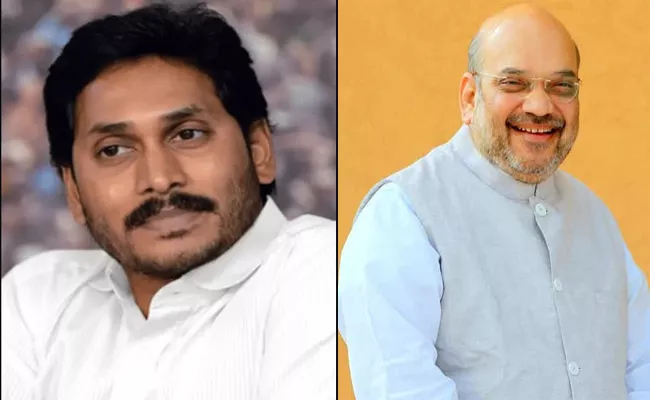 CM YS Jagan Mohan Reddy To Meet Amit Shah At Delhi - Sakshi