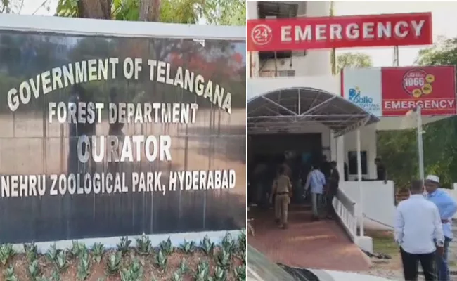 Person Died In An Elephant Attack At Hyderabad Zoo - Sakshi