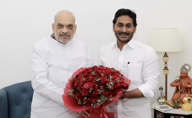 Cm Jagan Meet Union Home Minister Amit Shah - Sakshi