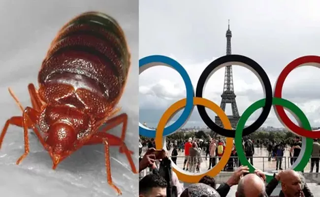 France Struggles with Bed Bug - Sakshi