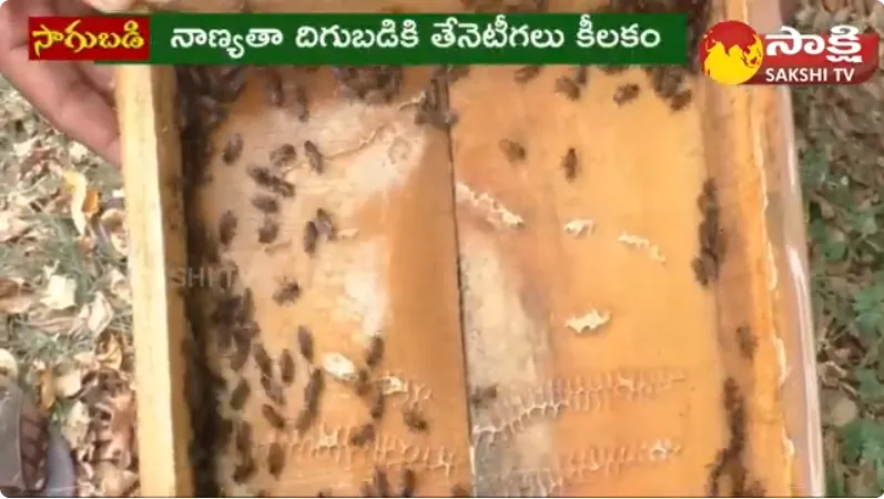 Organic Honey Bee Farming 