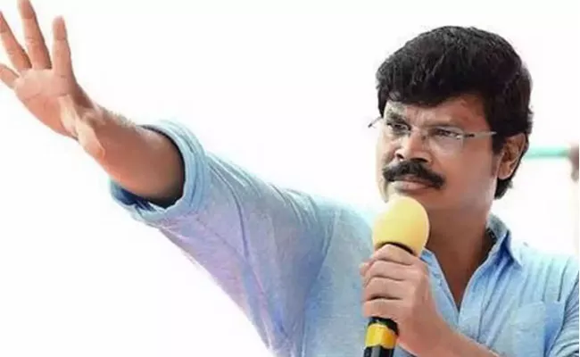 Boyapati Srinu Gives Flops To Young Heroes - Sakshi