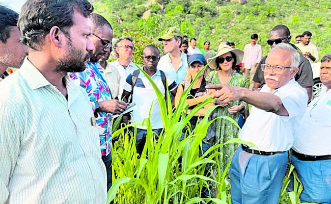 A group of African countries praise on nature agriculture - Sakshi