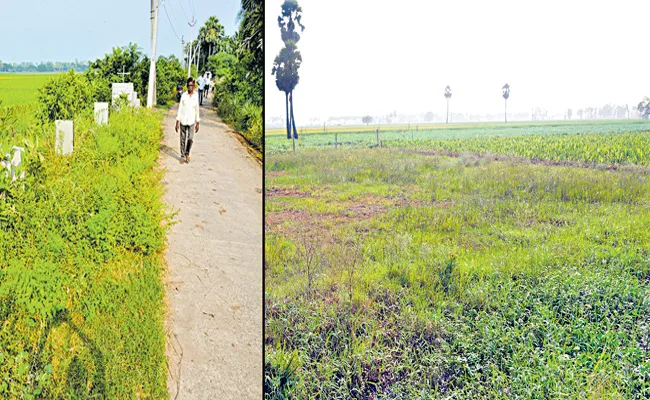 Burial grounds for 1563 Dalits across Andhra Pradesh - Sakshi