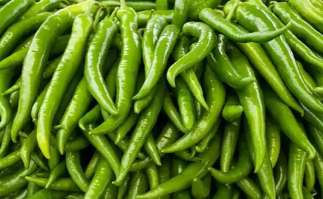 Eating Green Chilli Daily Gves Unbelievable Health Benefits - Sakshi