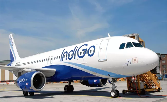 8 Passengers Disembark The Indigo Plane - Sakshi