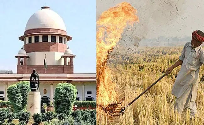 Supreme Court Top Quotes On Stubble Burning - Sakshi