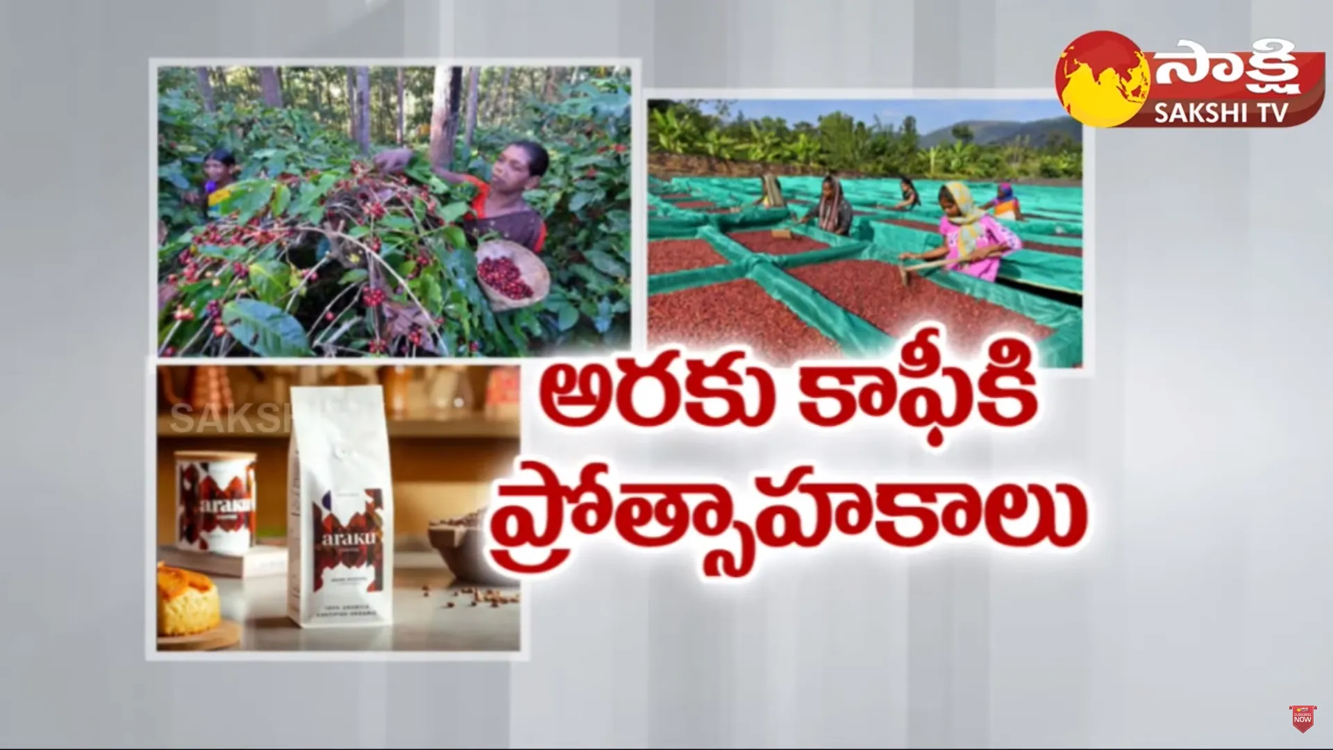 Plan to Start Mega Coffee Processing Unit in Araku and AP Govt Support To Araku Coffee Farmers