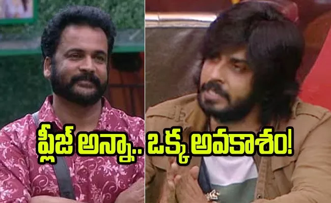 Bigg Boss Latest Episode Promo Goes Viral On Captain Contender Post - Sakshi