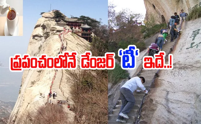 This Is The Dangerous Tea In The World Chinas Huashan Teahouse - Sakshi