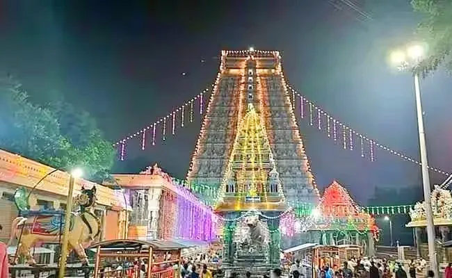 Tiruvannamalai Karthigai Deepam Barani Deepam - Sakshi