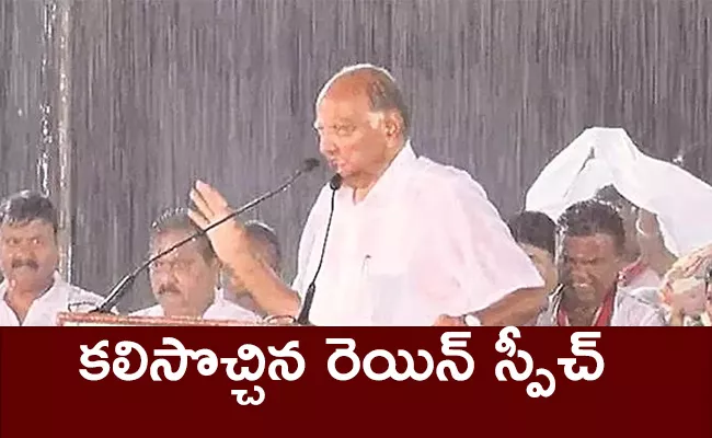 Sharad Pawar Speech In Rain Again Became Hot Topic - Sakshi