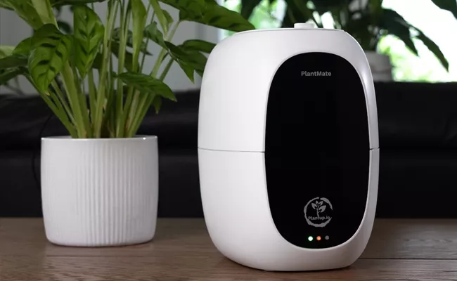 This Smart Plant Care Device Ensures Your Plants Thrive - Sakshi