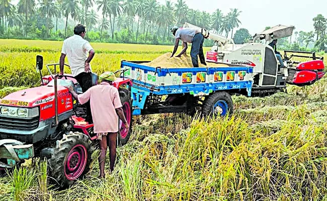 Record paddy yields in Godavari deltas - Sakshi