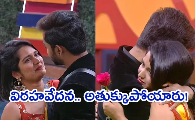 Bigg Boss 7 Telugu Day 66 Episode Highlights - Sakshi