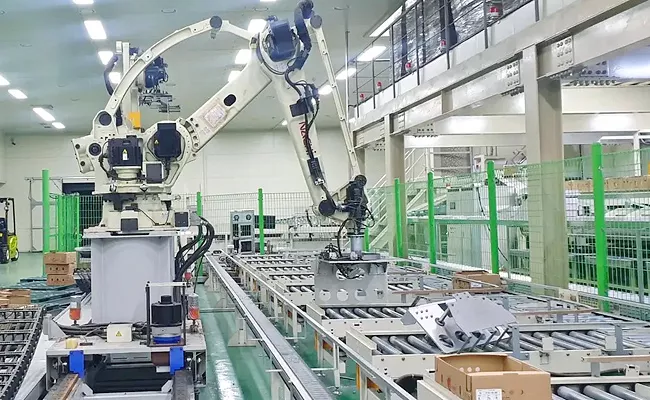 South Korea Man Killed By Robot that Confused Him For vegetables Box - Sakshi