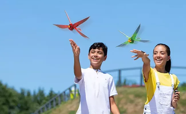 Go Go Bird Eagle Rc Bird Flight Test Review - Sakshi