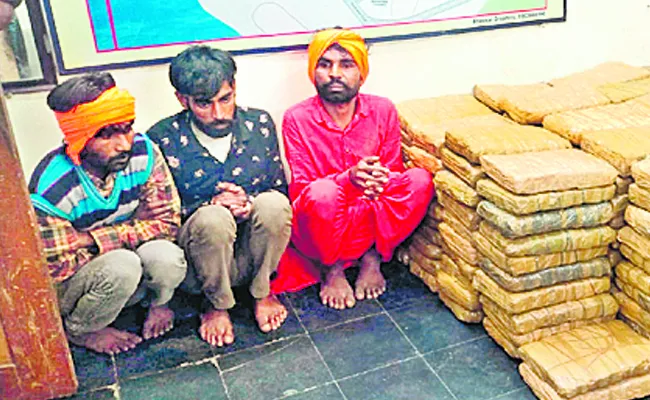 Taskforce Police Officials Arrest Ganja Gang At Bhadradri Kothagudem - Sakshi