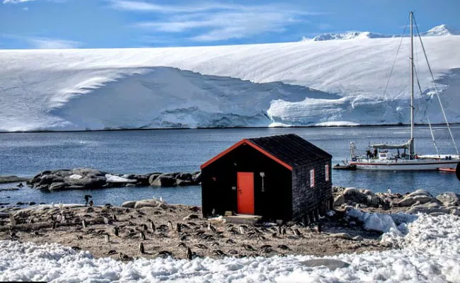 Antarctica Penguin Post Office All You Need To Know - Sakshi