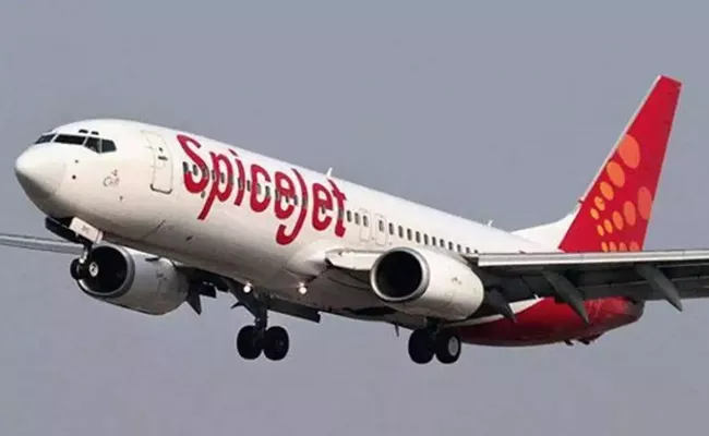 SpiceJet gets Rs 2,250 crore fresh lifeline - Sakshi