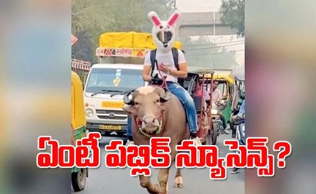 Delhi Man With Bunny Helmet Rides Bull On Busy Road - Sakshi