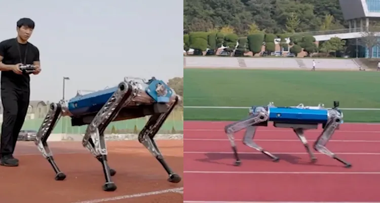 Robo Dog Sets New Guinness World Record