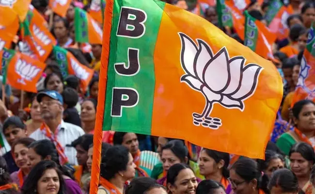 BJP Plans To Focus On South Telangana - Sakshi