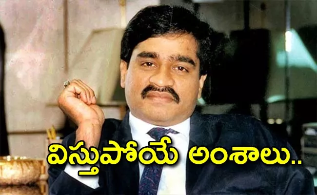 Dawood Ibrahim Approxmate Business Value  - Sakshi