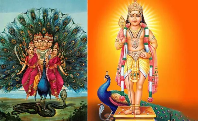 Subrahmanya Shashti 2023: Significant Celebration In Southern India - Sakshi