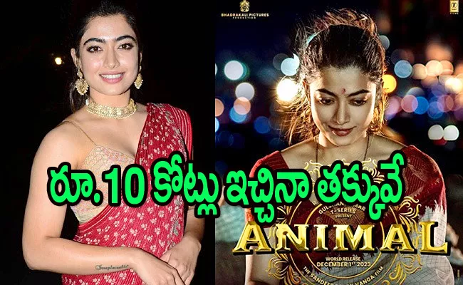 Rashmika Mandanna's Remuneration For Animal Movie - Sakshi