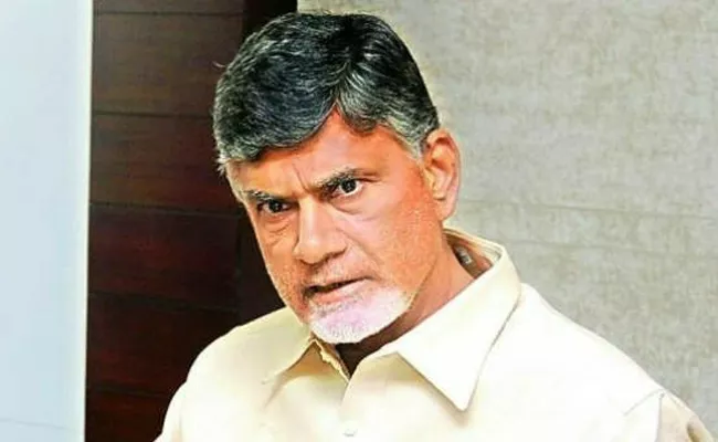 False Allegations By Chandrababau On YS Jagan - Sakshi