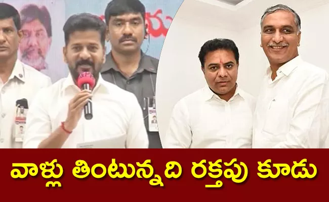 CM Revanth Reddy Speech At Praja Palana Event - Sakshi