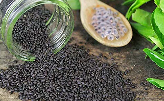 Amazing Benefits Of Sabja Seeds To Know - Sakshi