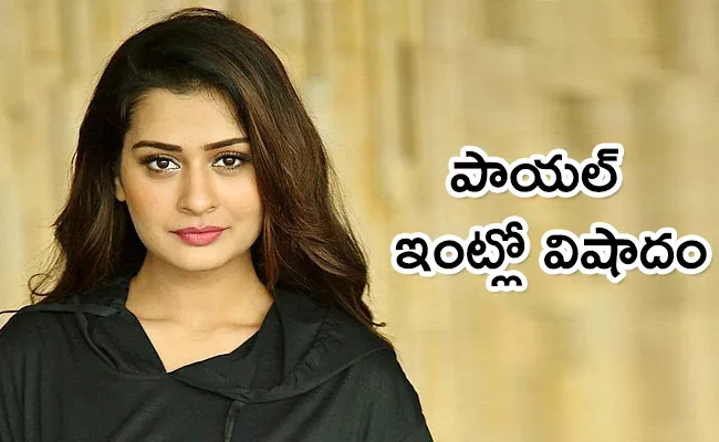 Actress Payal Rajput Pet Dog Candy Died Insta Post Viral - Sakshi