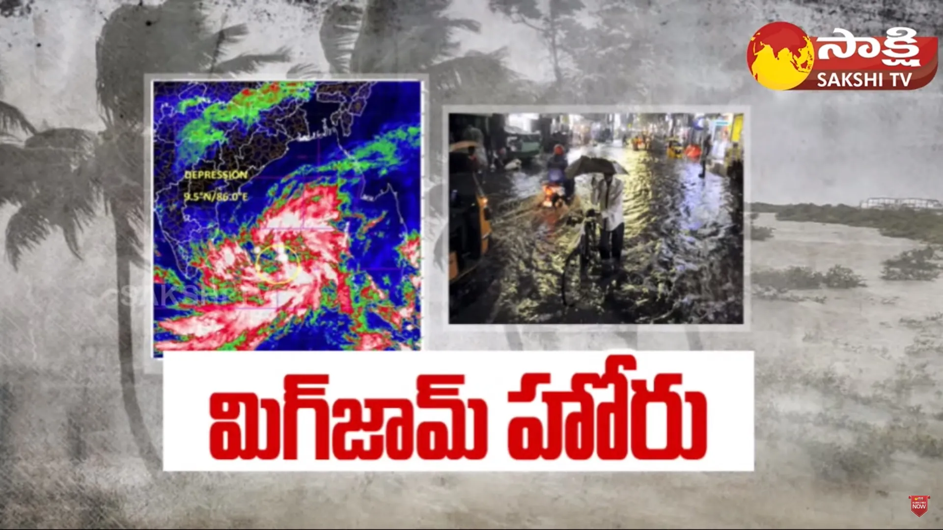 Heavy Rains in Five Districts and Michaung Cyclone Effect in AP