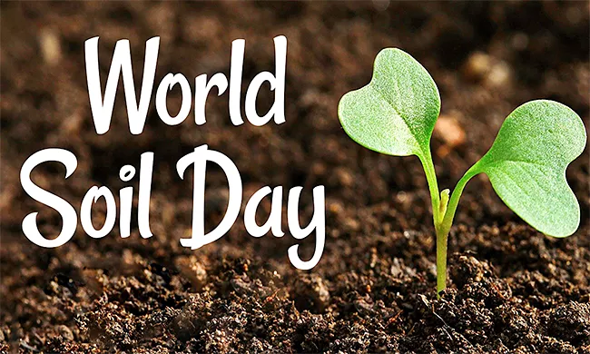 World Soil Day 2023: History Significance Theme Of The Year - Sakshi