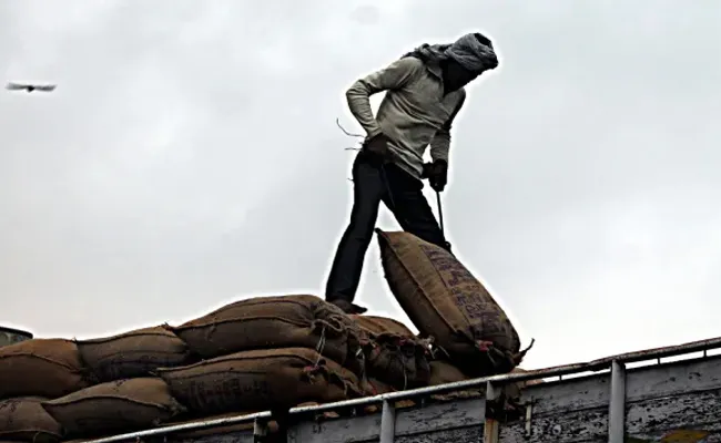 154 Farmers Daily Wagers Die By Suicide Daily NCRB Report - Sakshi