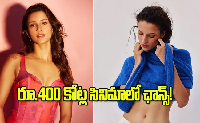 Tripti Dimri Acts In Sandeep Reddy Vanga and Prabhas 400 Crore Spirit  - Sakshi